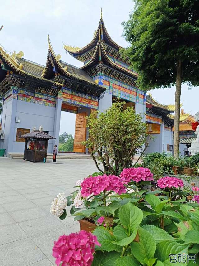 图片
